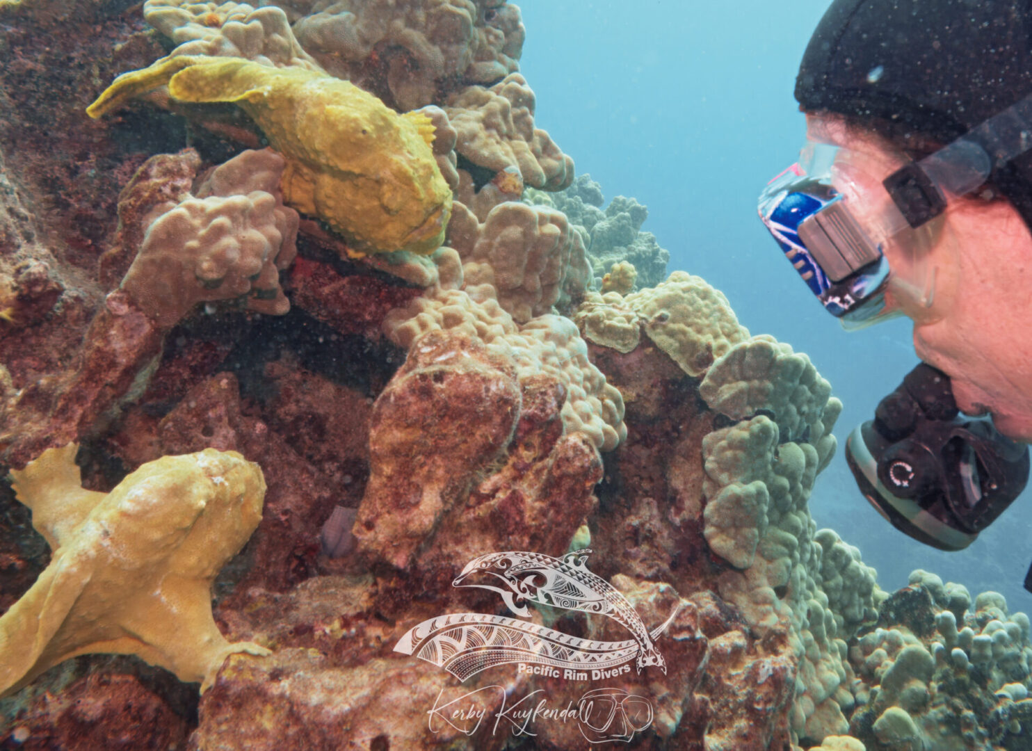 A boutique dive operation guide leads a group through a sunlit lava tube.
