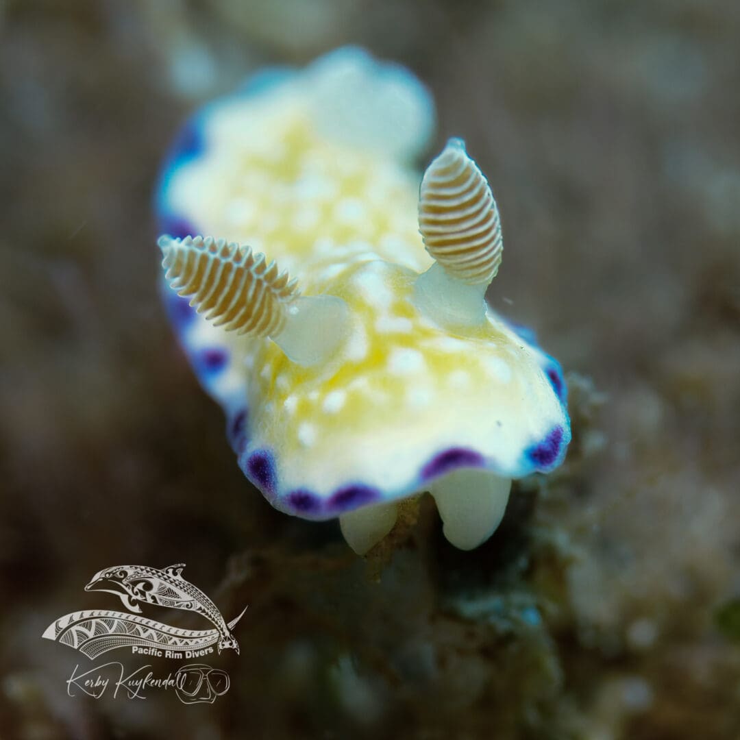 2025_0526Trembling03